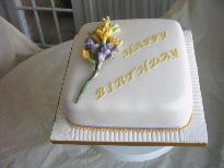 Freesia jolly good fellow