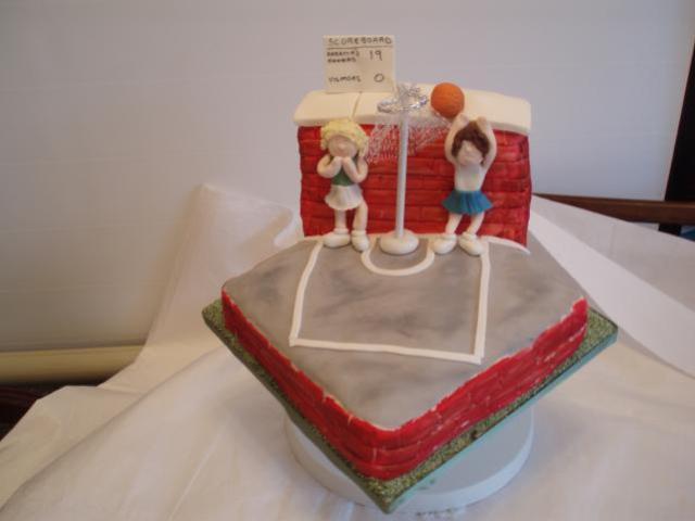 Anyone for Net Ball?