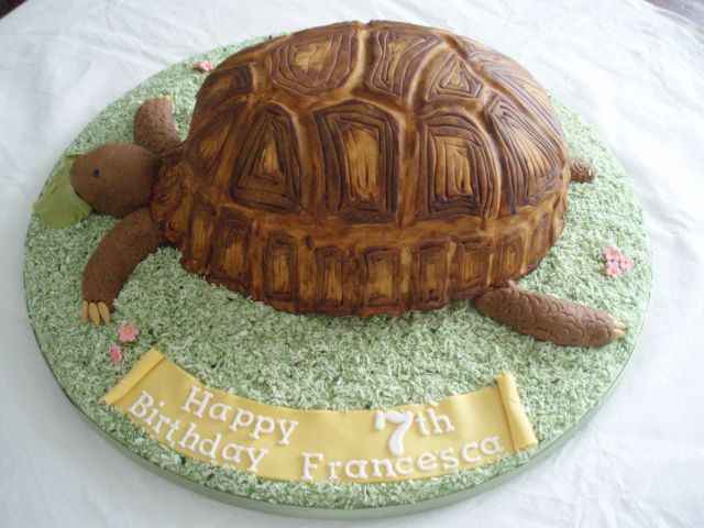 The Tortoise
